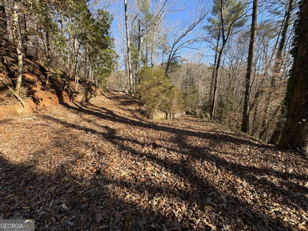 170 Old Gold Mine TRL Helen, GA 30545