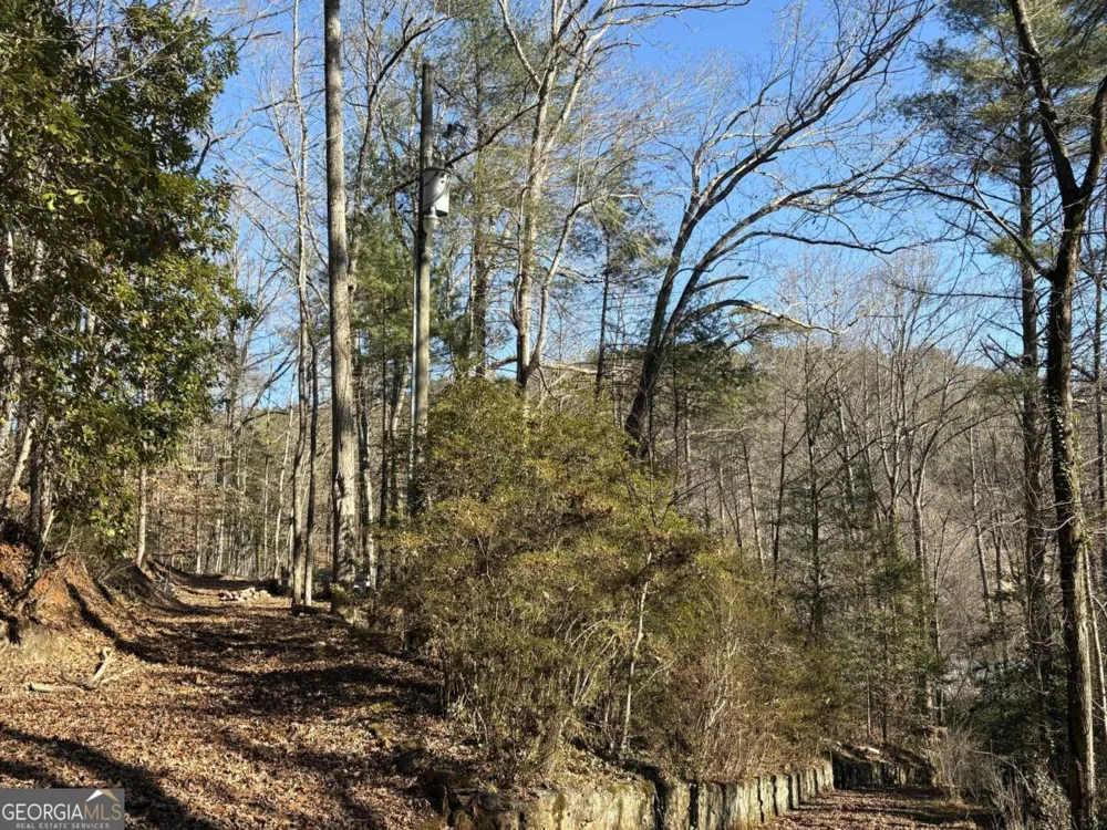 170 Old Gold Mine TRL Helen, GA 30545