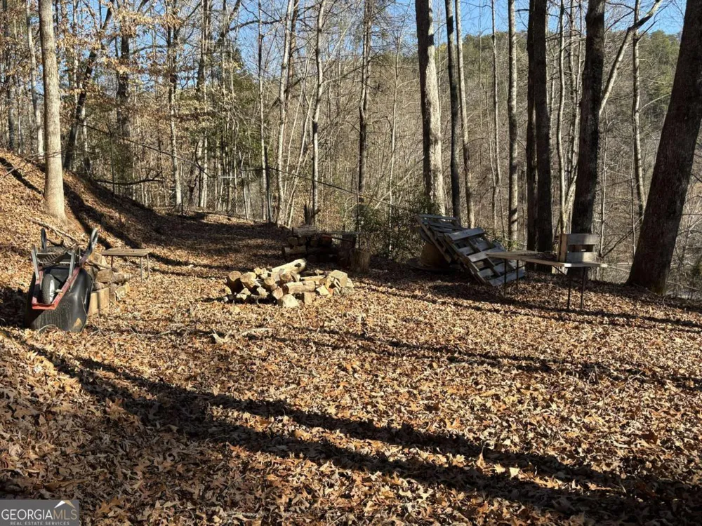 170 Old Gold Mine TRL Helen, GA 30545