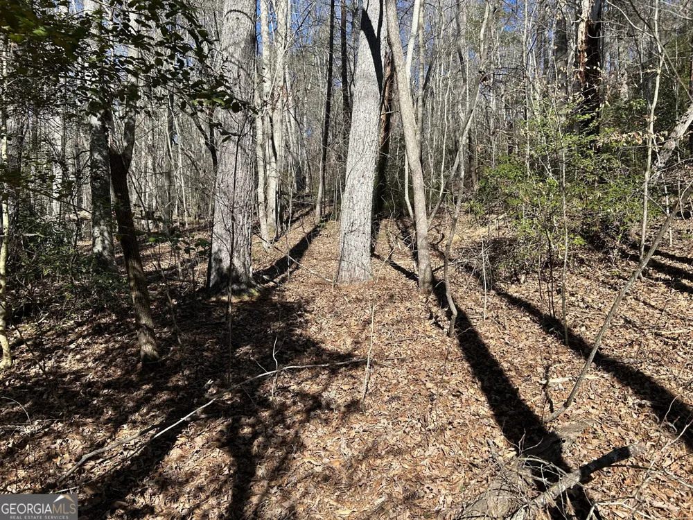 0 Twin River Orchard RD Demorest, GA 30535