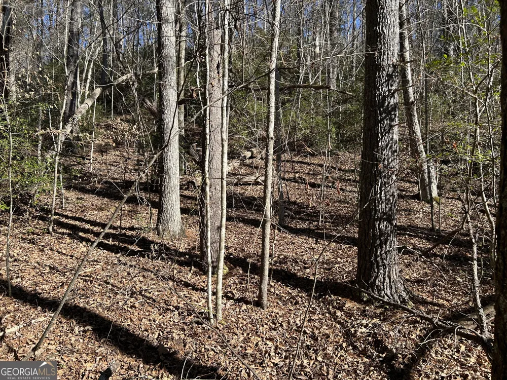 0 Twin River Orchard RD Demorest, GA 30535