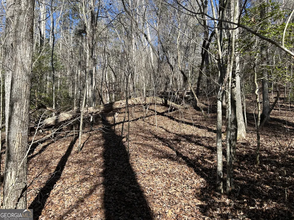0 Twin River Orchard RD Demorest, GA 30535