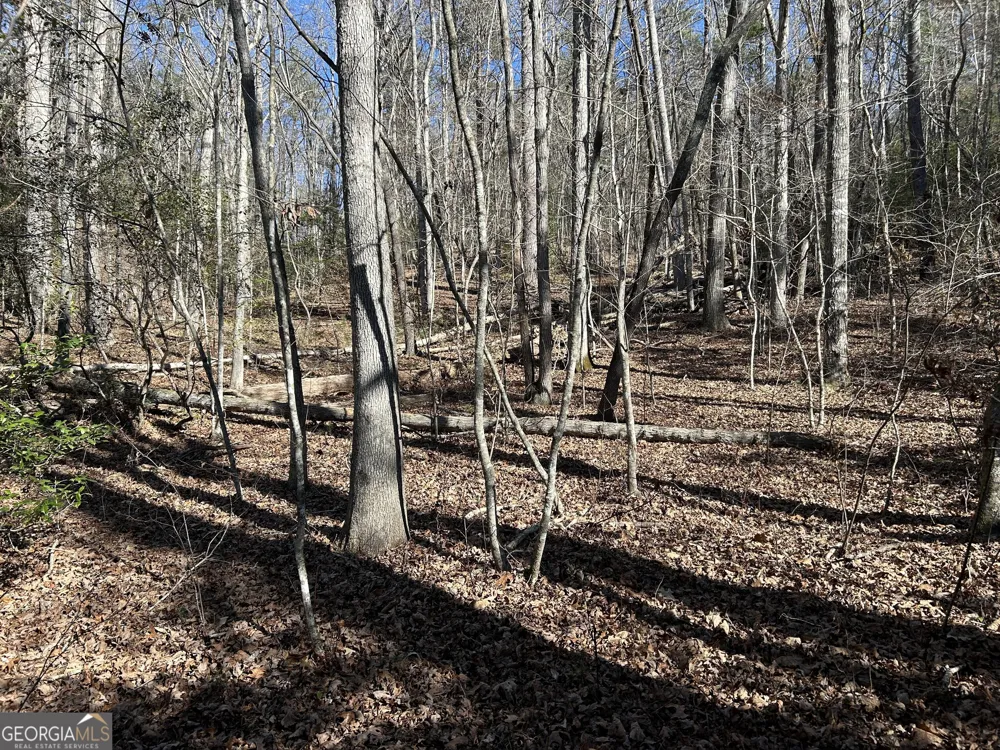0 Twin River Orchard RD Demorest, GA 30535