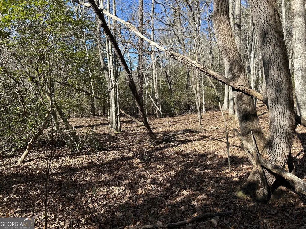0 Twin River Orchard RD Demorest, GA 30535