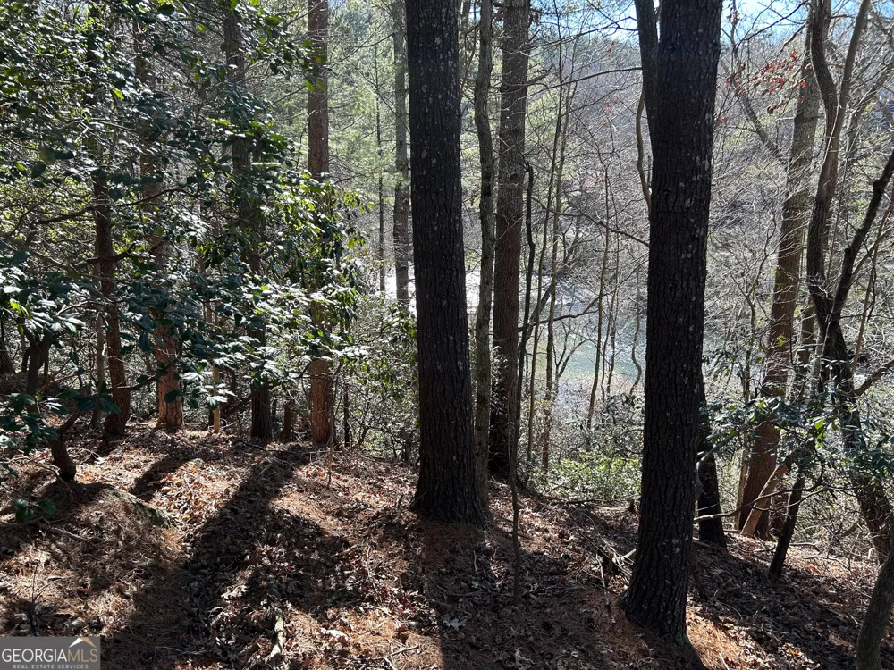 0 Twin River Orchard RD Demorest, GA 30535