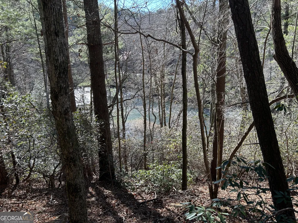 0 Twin River Orchard RD Demorest, GA 30535