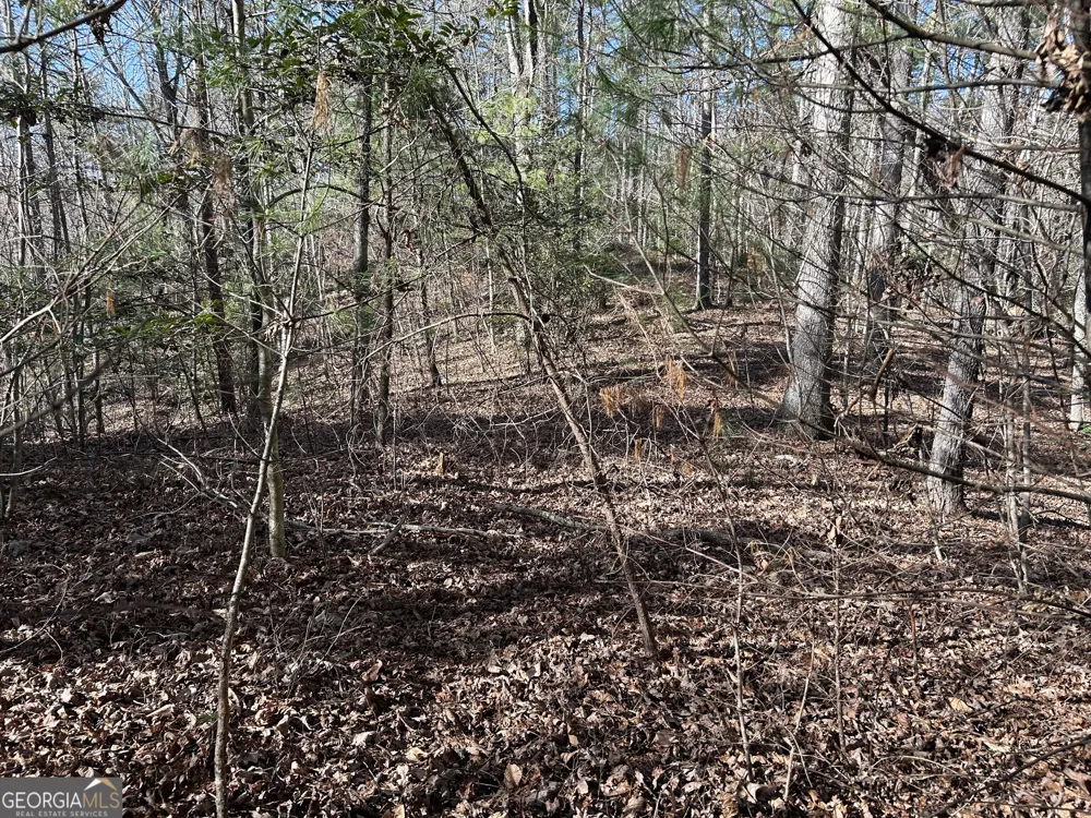 0 Twin River Orchard RD Demorest, GA 30535