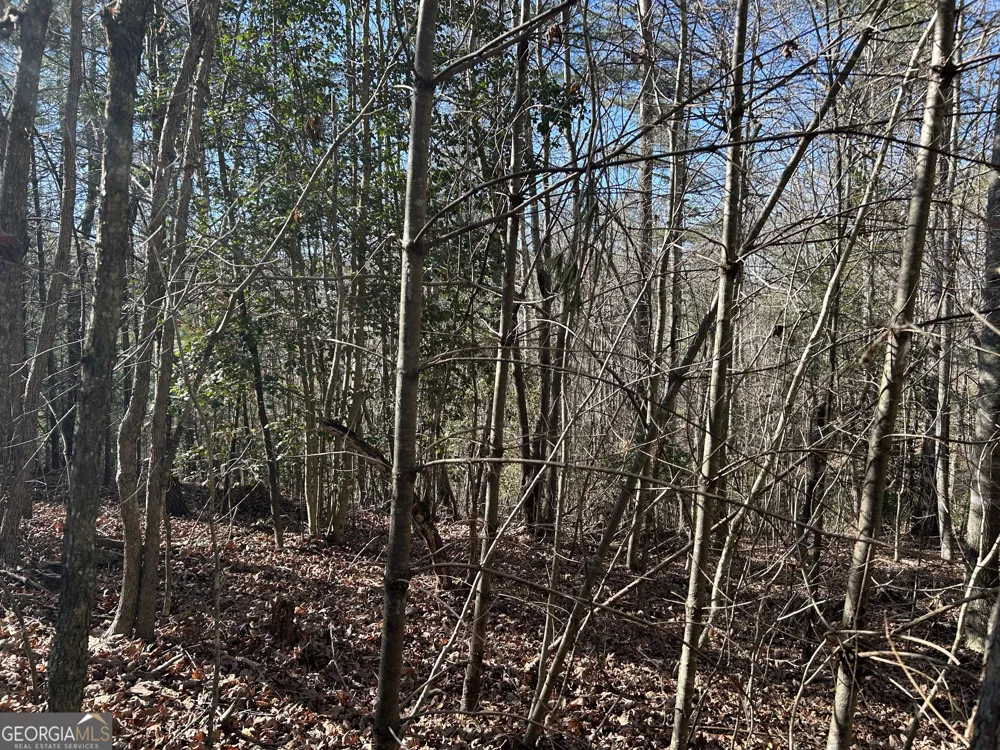 0 Twin River Orchard RD Demorest, GA 30535