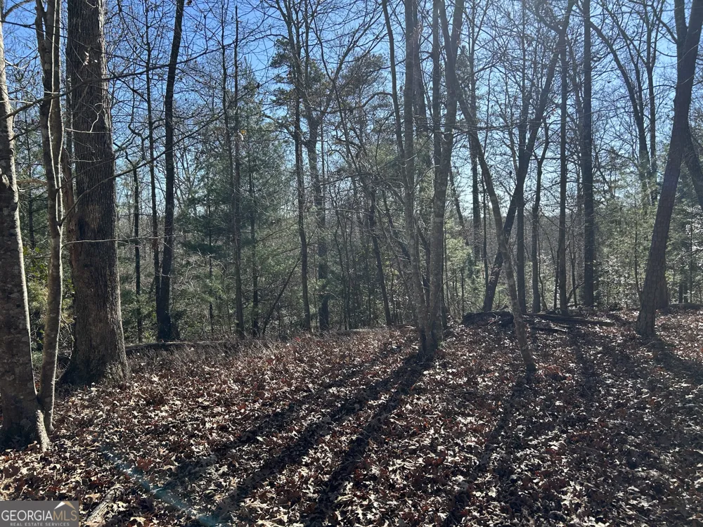 0 Twin River Orchard RD Demorest, GA 30535