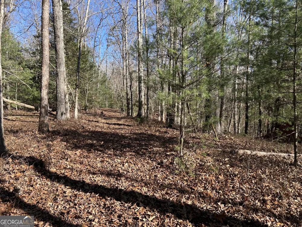 0 Twin River Orchard RD Demorest, GA 30535