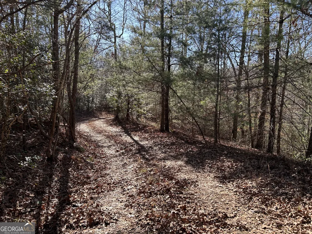 0 Twin River Orchard RD Demorest, GA 30535