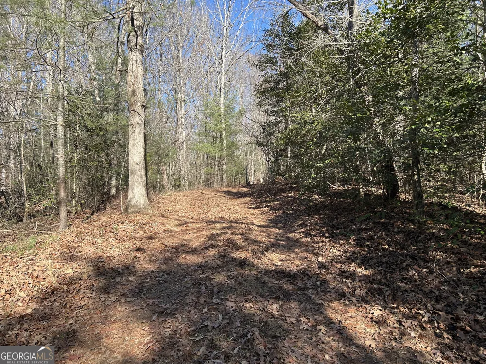 0 Twin River Orchard RD Demorest, GA 30535