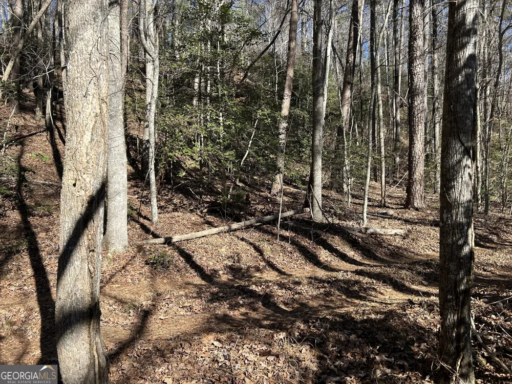 0 Twin River Orchard RD Demorest, GA 30535