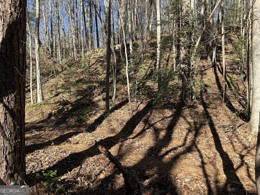 0 Twin River Orchard RD Demorest, GA 30535