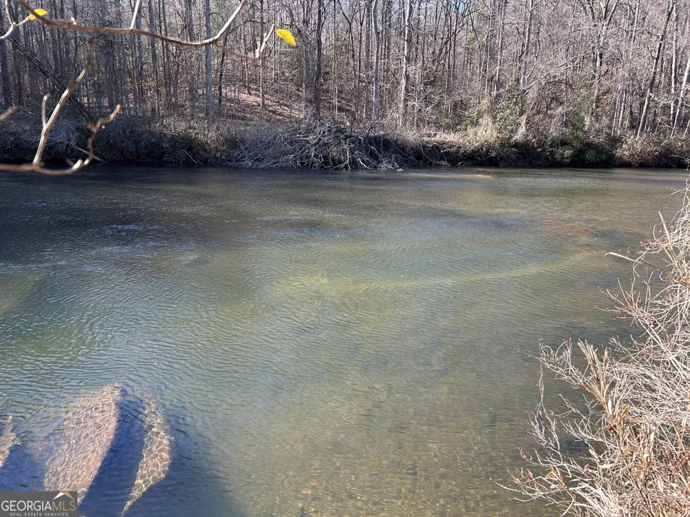 0 Twin River Orchard RD Demorest, GA 30535