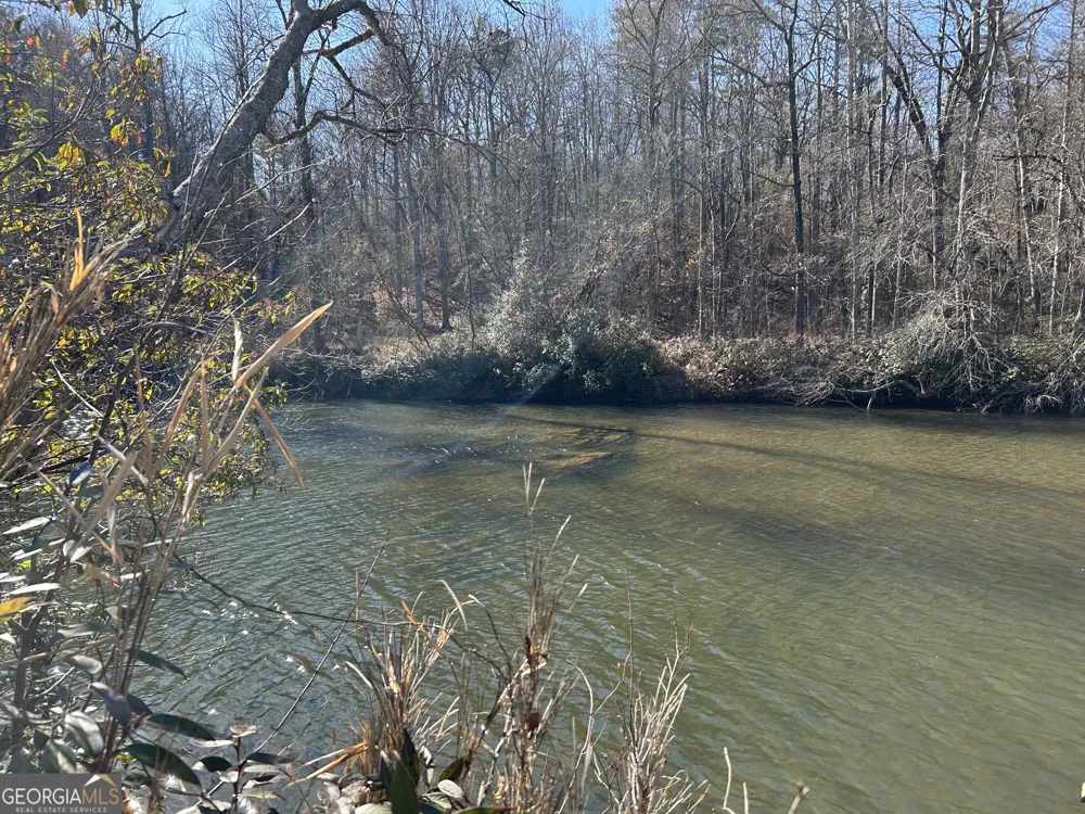 0 Twin River Orchard RD Demorest, GA 30535