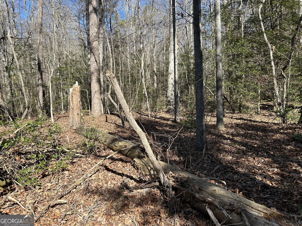 0 Twin River Orchard RD Demorest, GA 30535