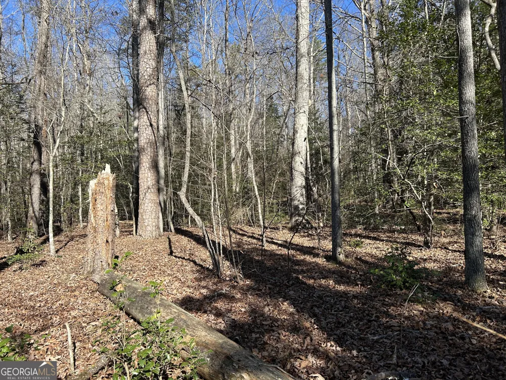 0 Twin River Orchard RD Demorest, GA 30535