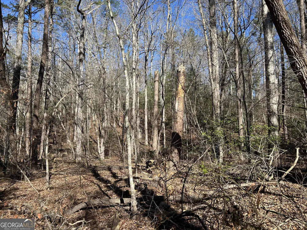 0 Twin River Orchard RD Demorest, GA 30535