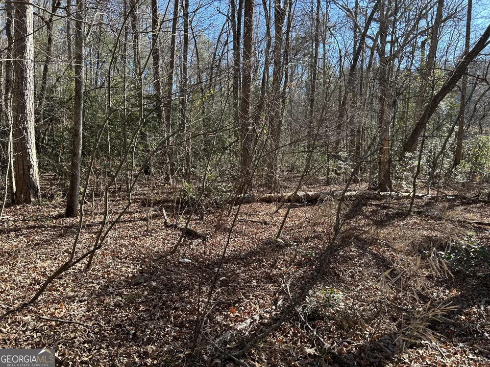 0 Twin River Orchard RD Demorest, GA 30535
