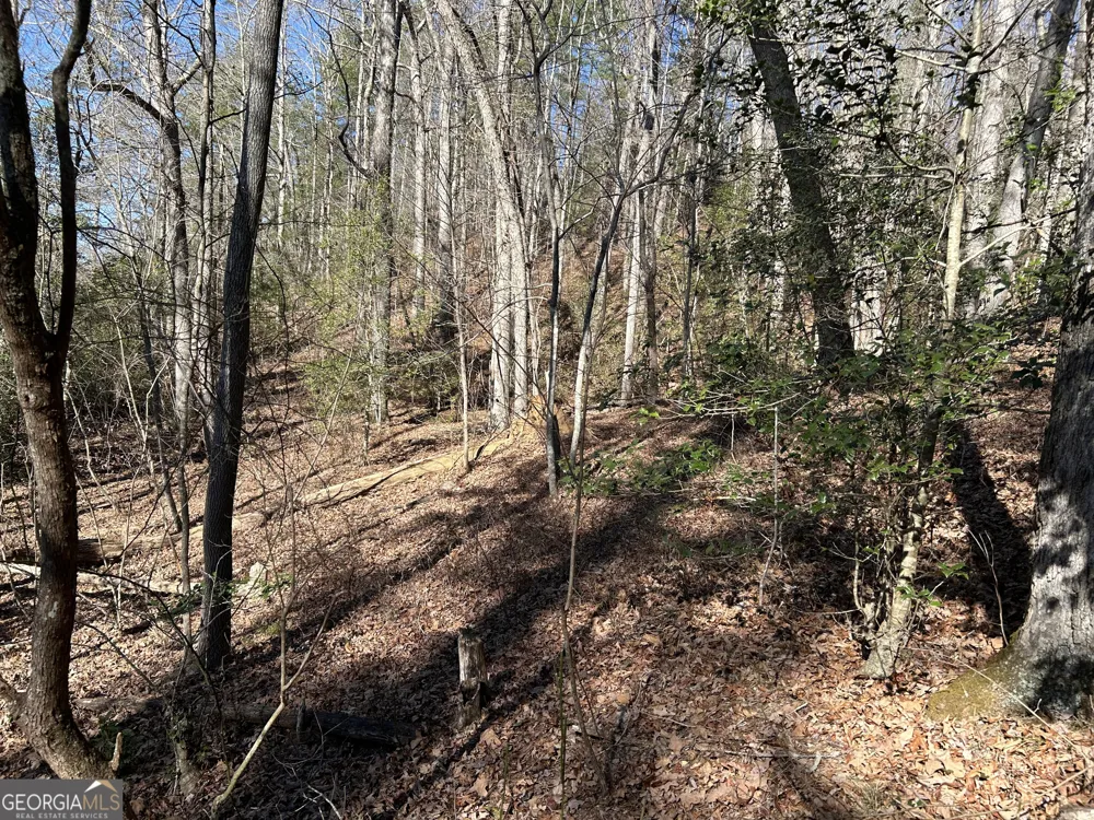 0 Twin River Orchard RD Demorest, GA 30535
