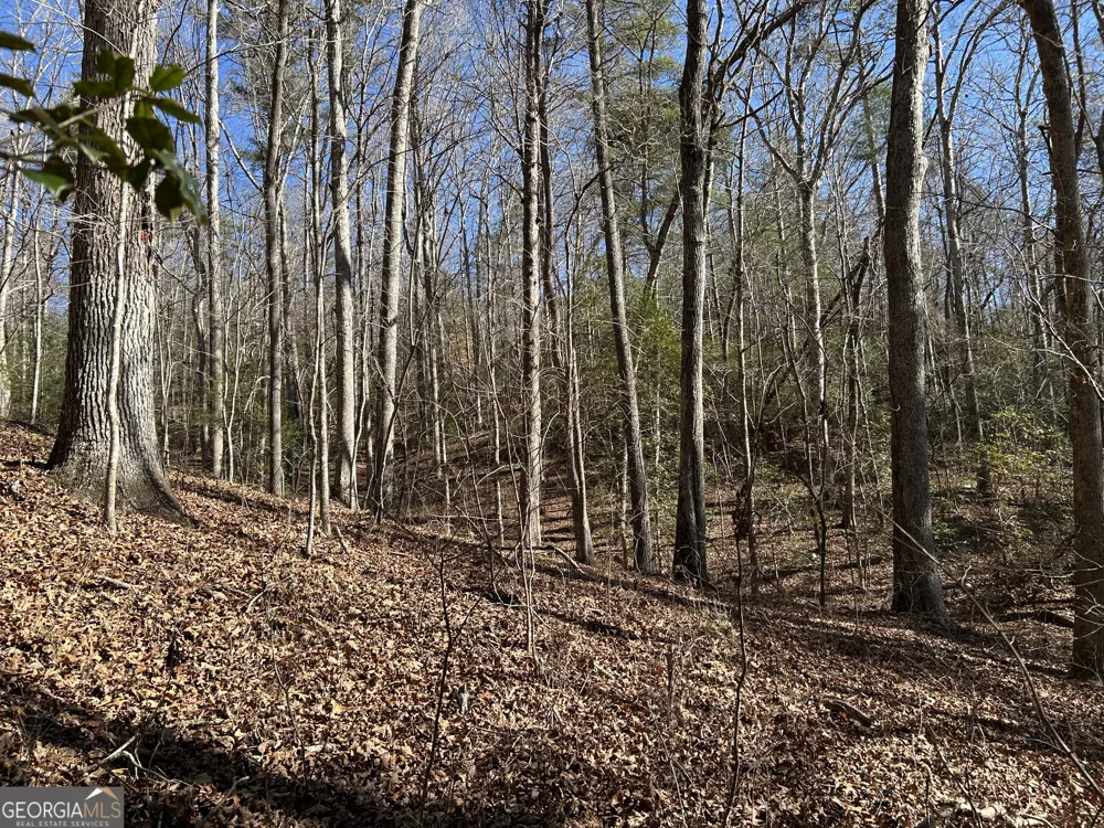 0 Twin River Orchard RD Demorest, GA 30535
