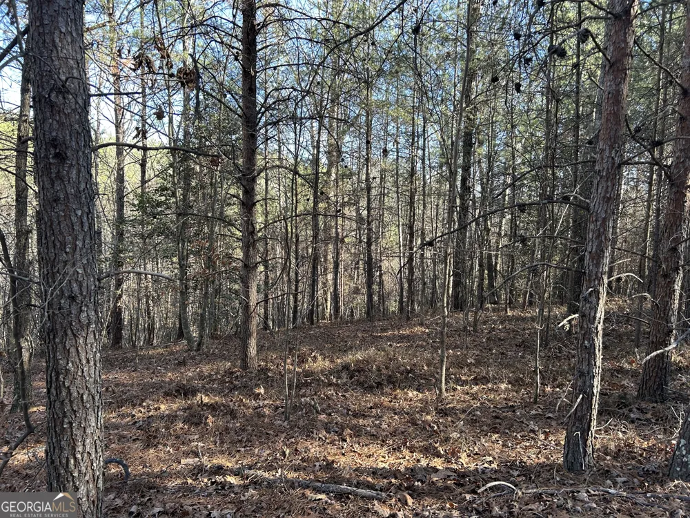 0 Twin River Orchard RD Demorest, GA 30535