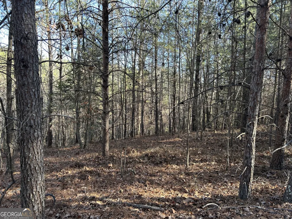 0 Twin River Orchard RD Demorest, GA 30535