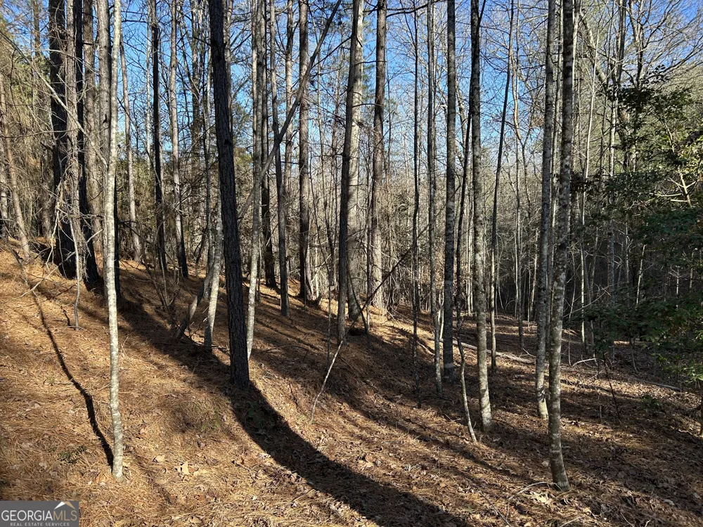 0 Twin River Orchard RD Demorest, GA 30535