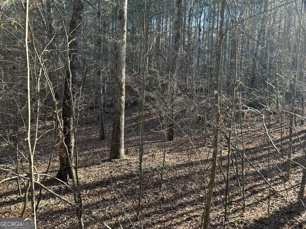 0 Twin River Orchard RD Demorest, GA 30535