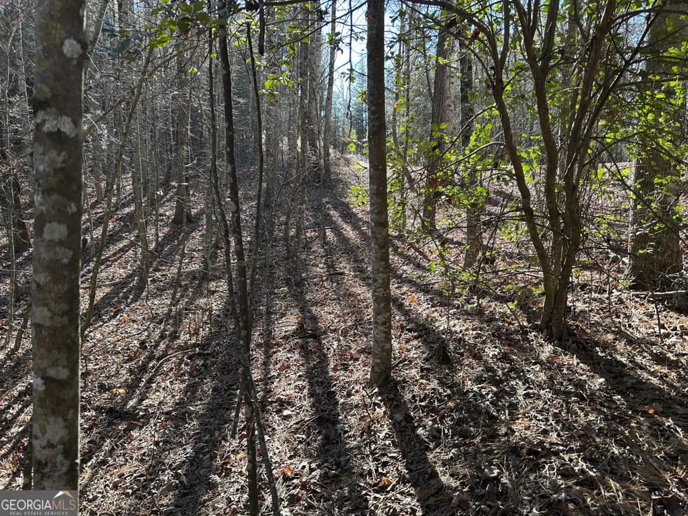 0 Twin River Orchard RD Demorest, GA 30535
