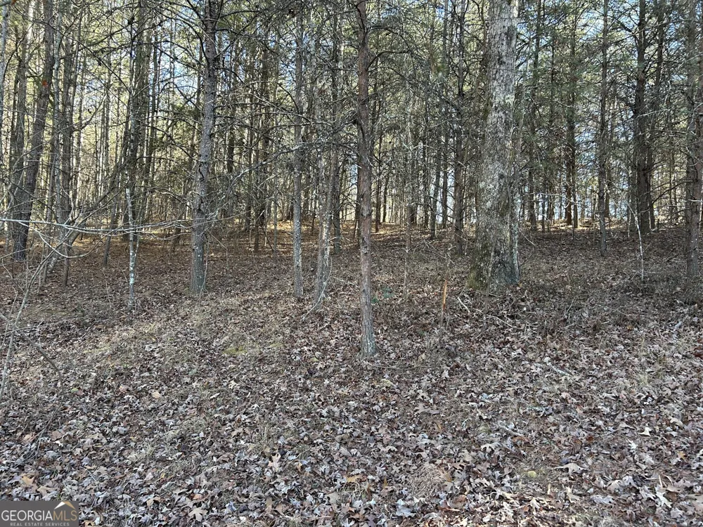 0 Twin River Orchard RD Demorest, GA 30535