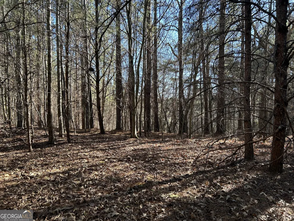 0 Twin River Orchard RD Demorest, GA 30535