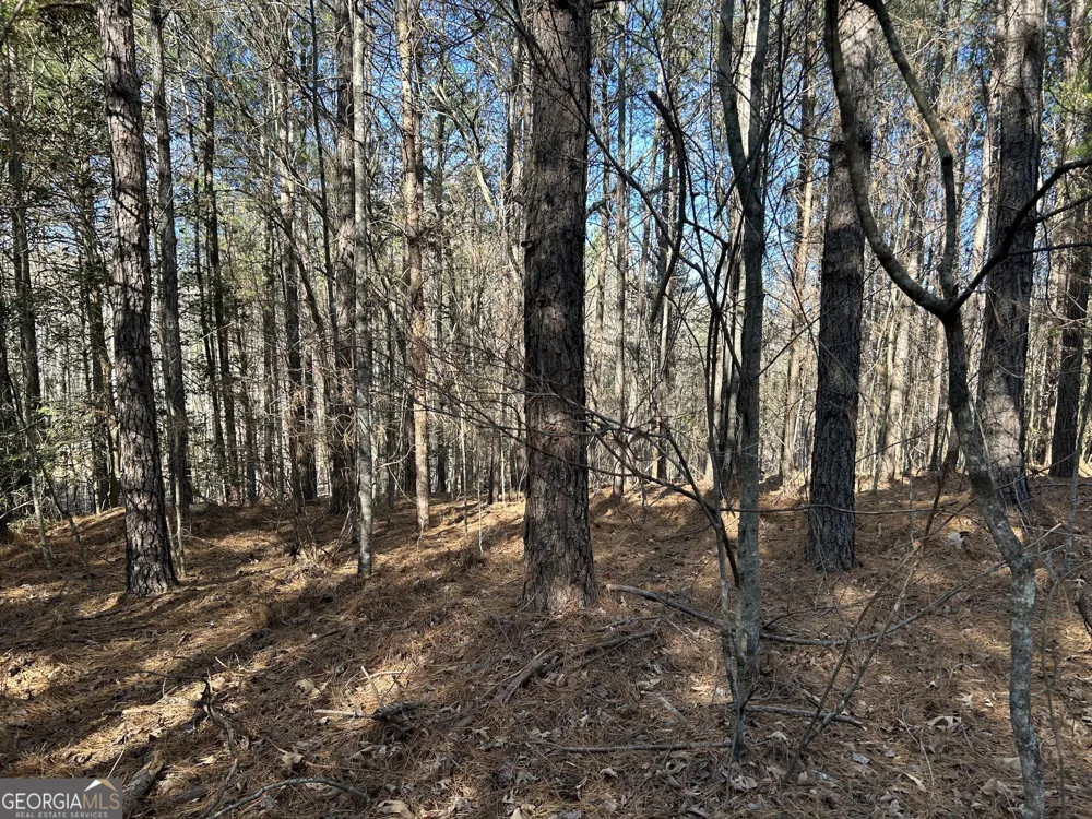 0 Twin River Orchard RD Demorest, GA 30535