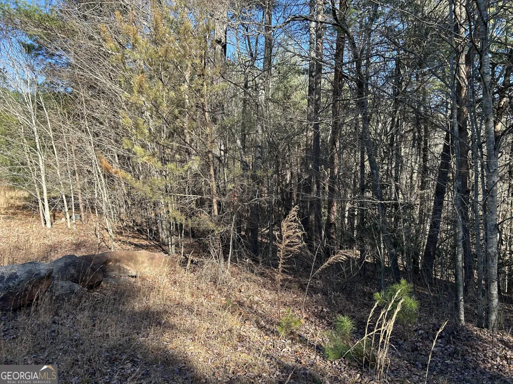 0 Twin River Orchard RD Demorest, GA 30535