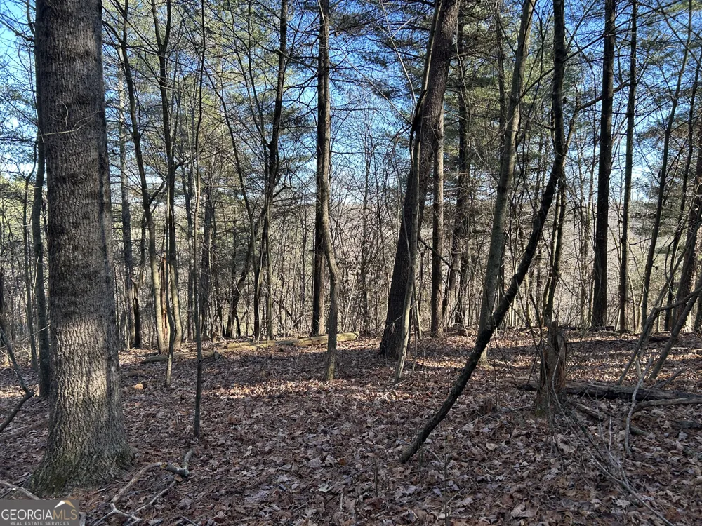 0 Twin River Orchard RD Demorest, GA 30535