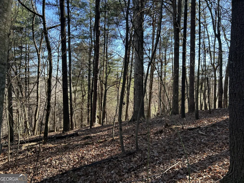 0 Twin River Orchard RD Demorest, GA 30535