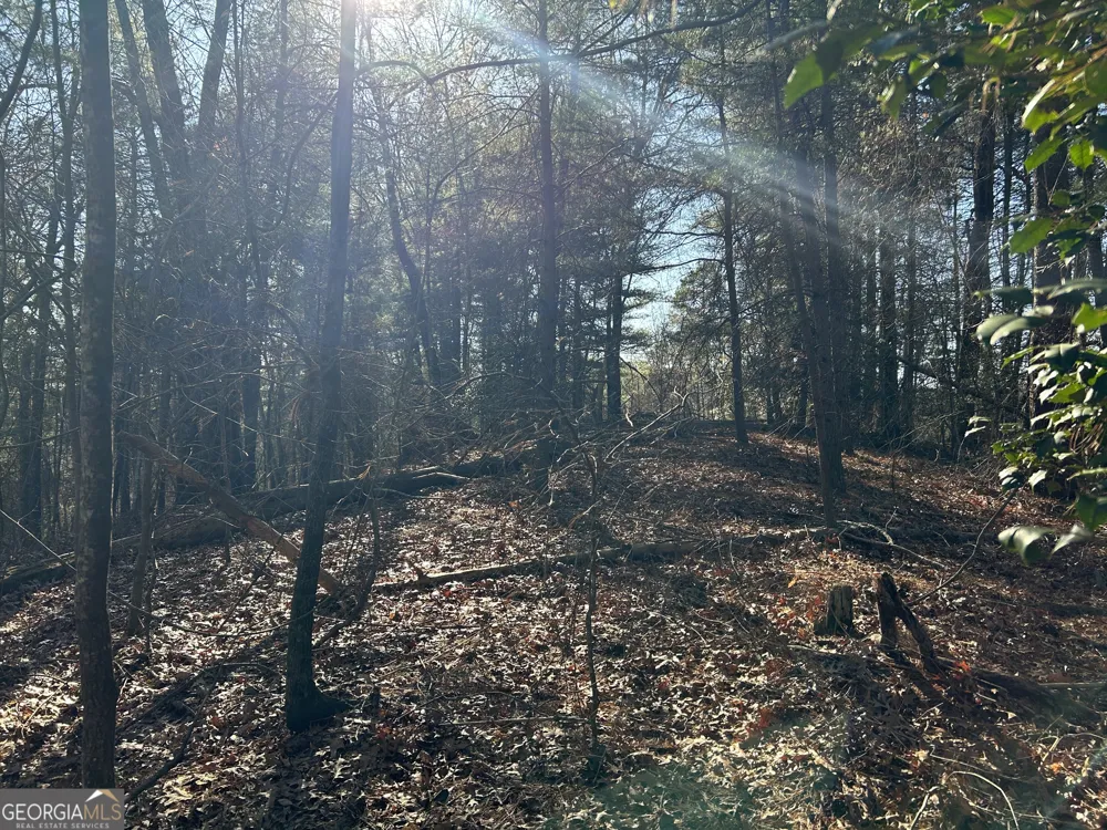 0 Twin River Orchard RD Demorest, GA 30535