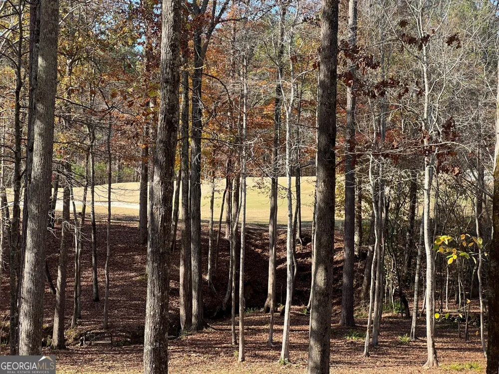 6218 ZELL MILLER PATH NW Acworth, GA 30101