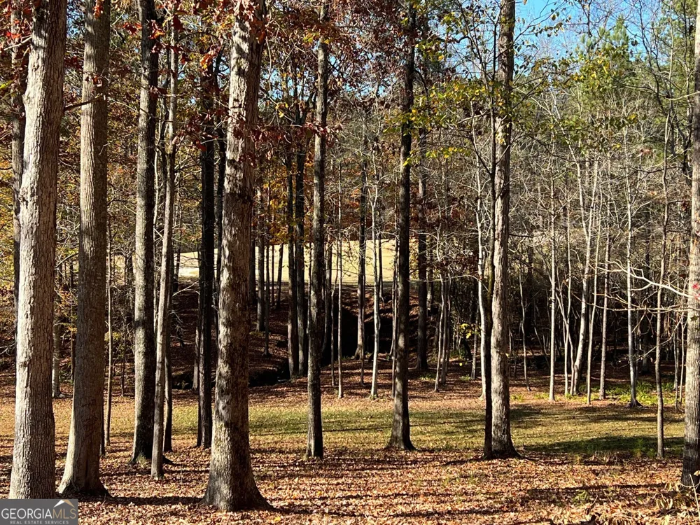 6218 ZELL MILLER PATH NW Acworth, GA 30101