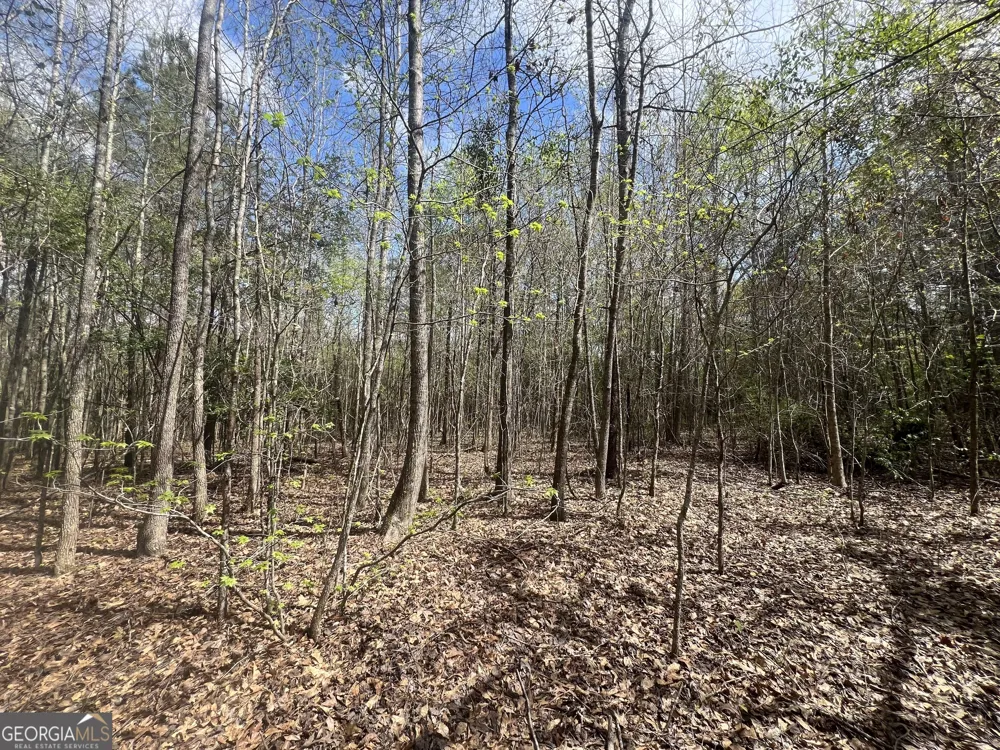 1029 CR- 474 LaFayette, AL 36862