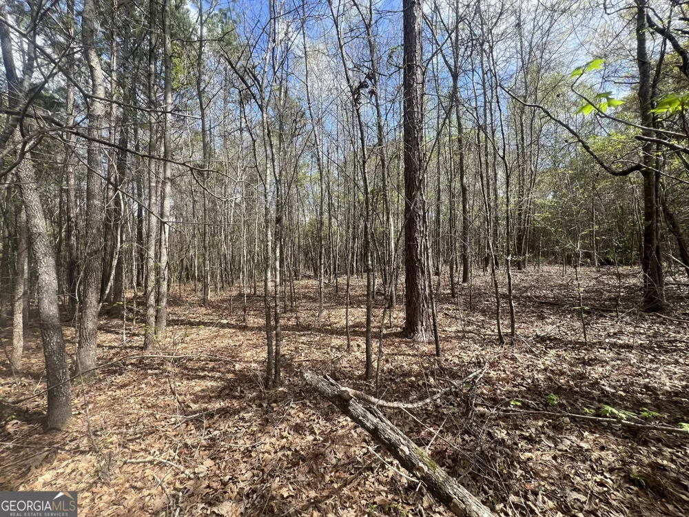 1029 CR- 474 LaFayette, AL 36862