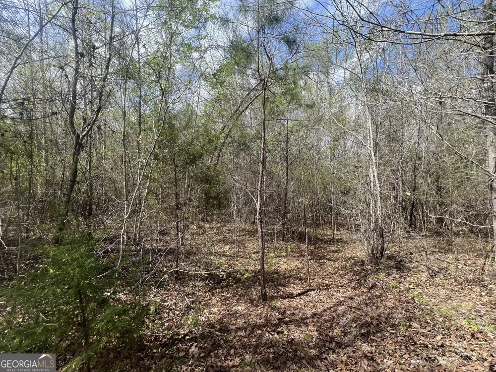 1029 CR- 474 LaFayette, AL 36862