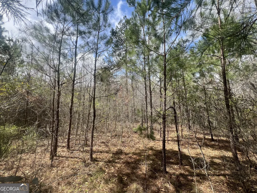1029 CR- 474 LaFayette, AL 36862