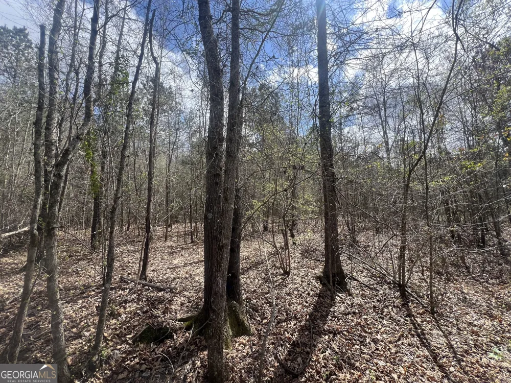 1029 CR- 474 LaFayette, AL 36862
