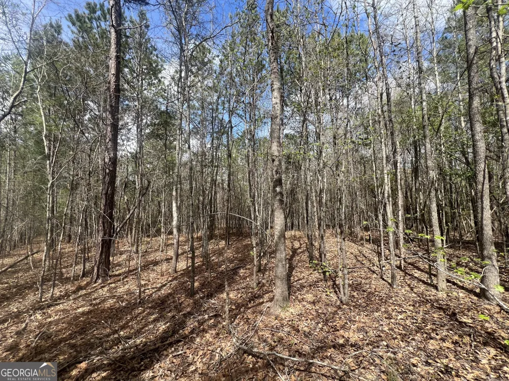 1029 CR- 474 LaFayette, AL 36862