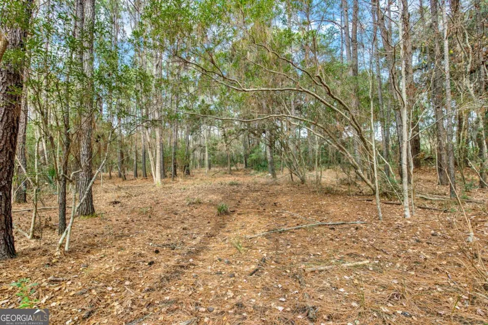 181-199 Burton RD Savannah, GA 31405