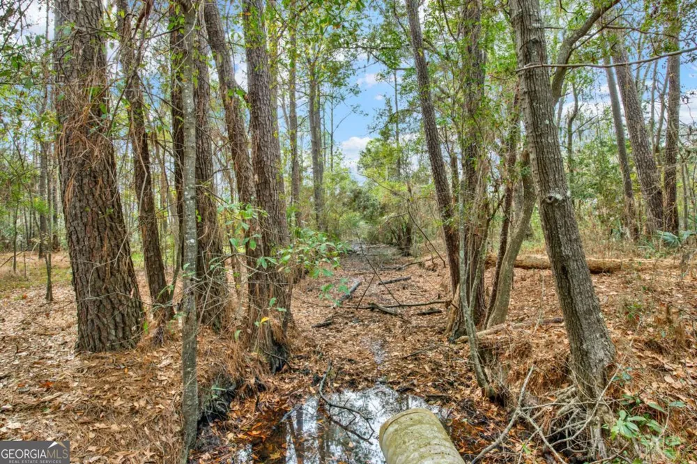 181-199 Burton RD Savannah, GA 31405