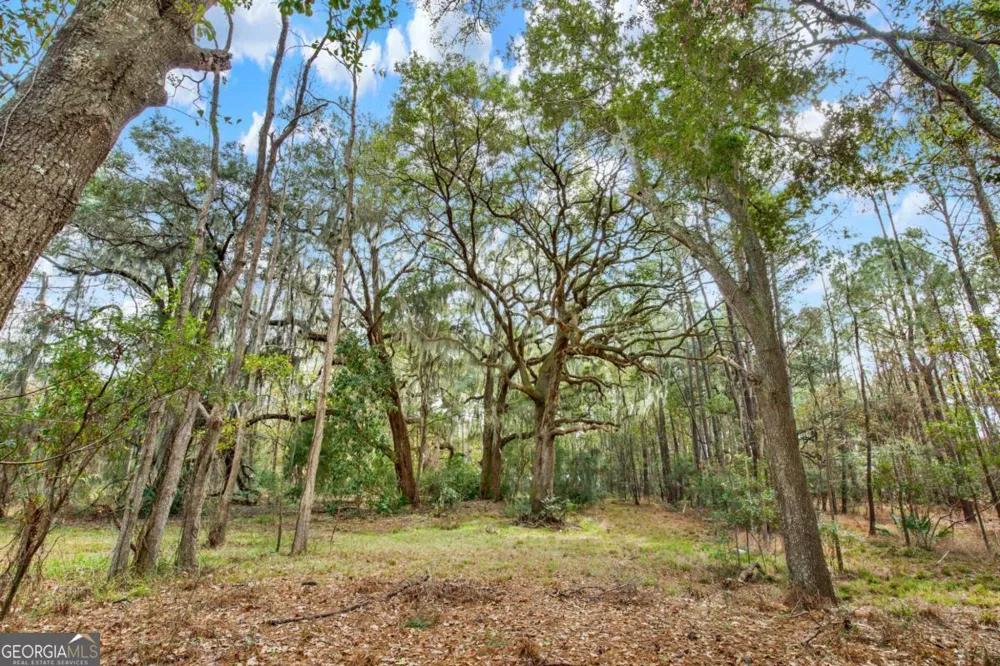 181-199 Burton RD Savannah, GA 31405