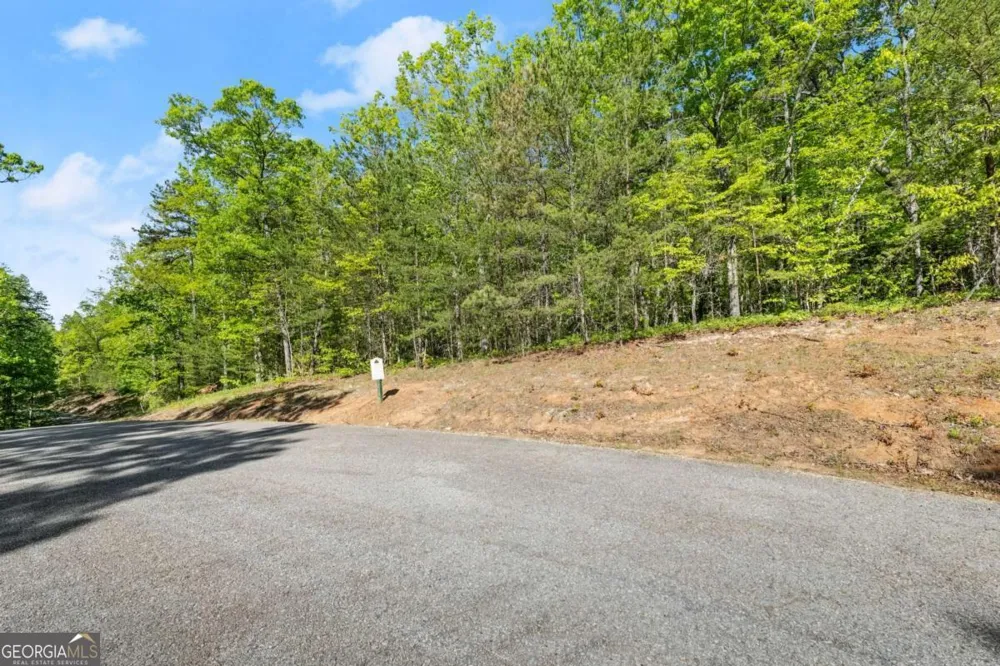 0 Pippin CIR Clarkesville, GA 30523